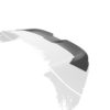 Becquet / Extension CAP pour BMW iX (depuis 2021)