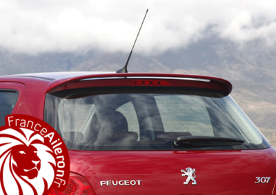 Spoiler Feline pour Peugeot 307
