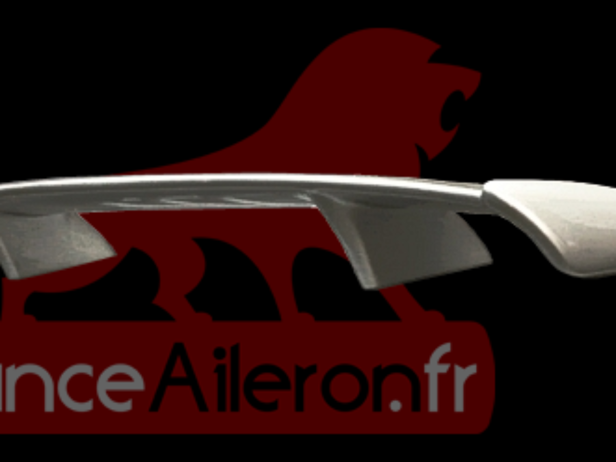 Becquet / Aileron Sport Two (Sur-mesure - Universel